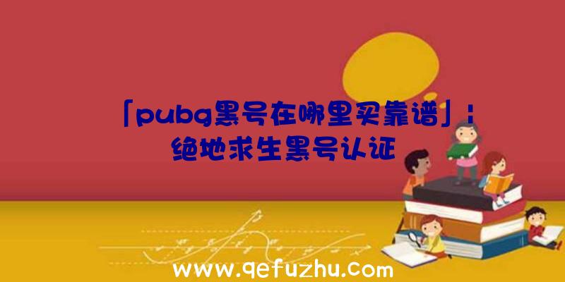 「pubg黑号在哪里买靠谱」|绝地求生黑号认证